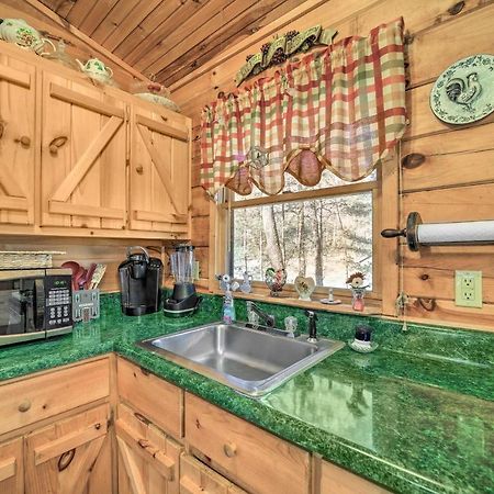 Franklin Cabin With Porch Near Hiking And Waterfalls! Eksteriør bilde